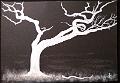 encre blanche_0012